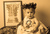 Baby julius_tiny